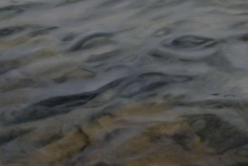 ElenaPrimavera_036
